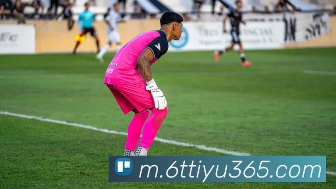 6T体育服务体系